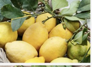 Limoncello Zitronen die Amalfi. Beste Sortierung hier günstig kaufen. Nur solange der Vorrat reicht!