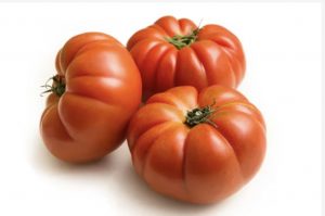 Tomaten Marinda - Sizilien