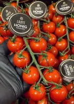 Honigtomaten - Cocktailtomaten - Rispentomaten- Cherrytomaten- kleine Tomaten, richtige Tomaten