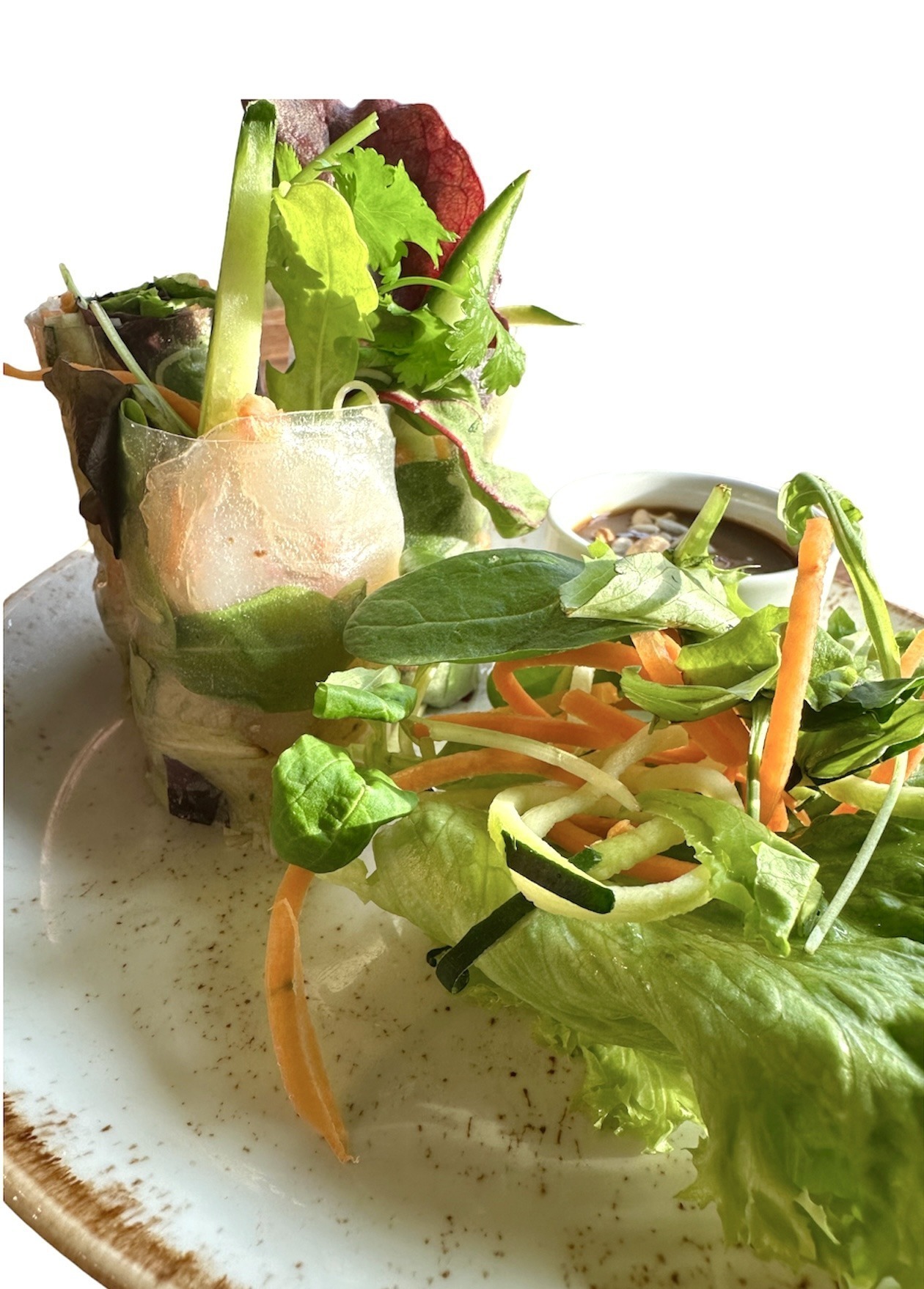 Sommerrollen, Frühlingsrolle, Karotten