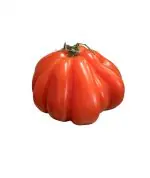 Fleischtomaten