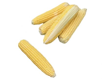 Maiskolben, Mais, Frischmais, Mais am Stiel, Meiskolben, Zuckemais, Süßmais, sütmisir, misir,