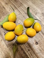 Kumquats bieten zahlreiche Vorteile. Ihre reichhaltigen Vitamine, insbesondere Vitamin C, unterstützen das Immunsystem. Die Ballaststoffe fördern die Verdauung, und der Verzehr mit Schale erhöht den Nährstoffgehalt. Probier sie aus – kleine Früchte, große Vorteile!