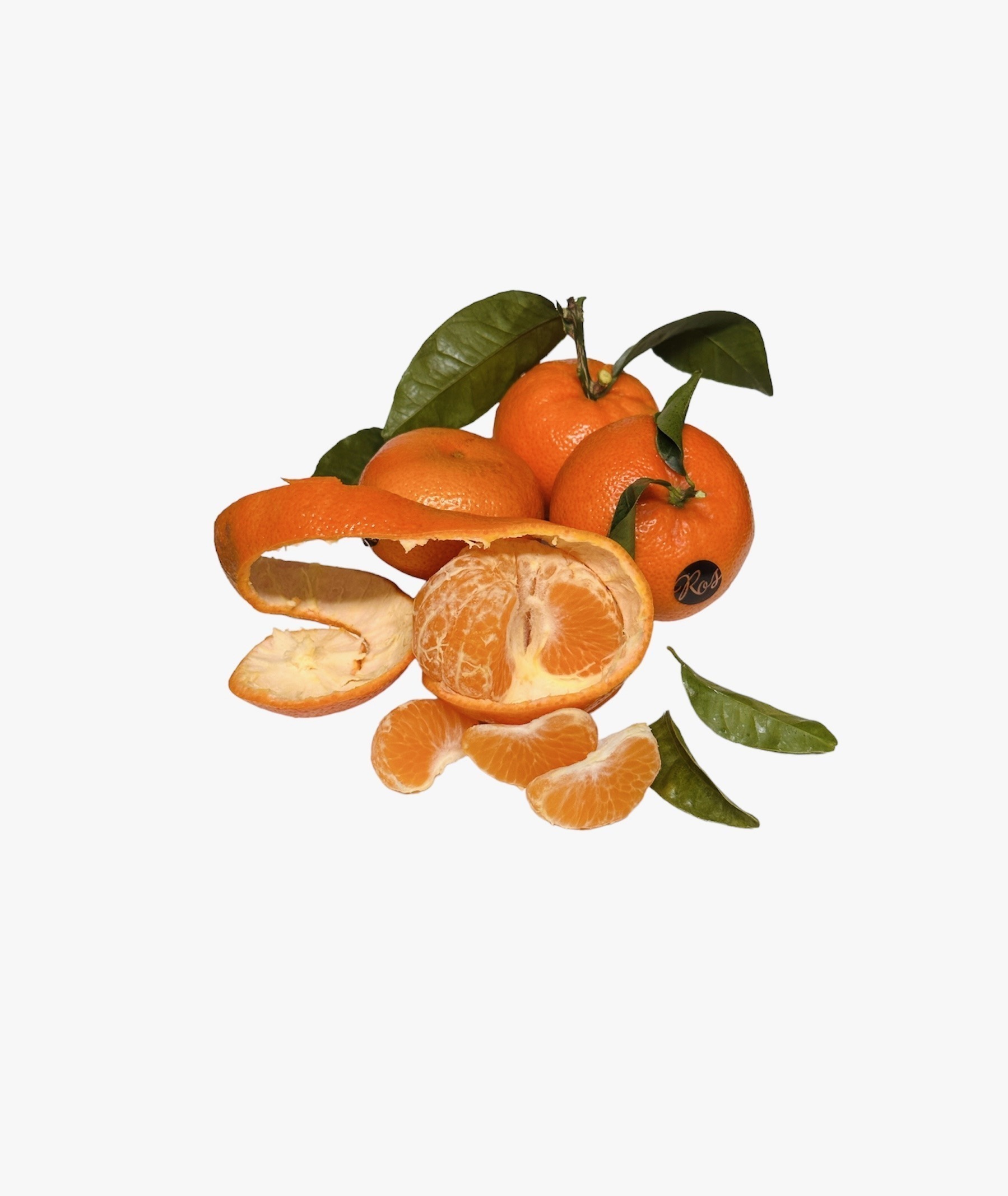 Naturseife Tangerine Tango Mit Kokosmilch – Mandarinenduft, Pflegende Milchseife