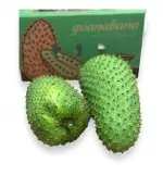 Graviola - Stachelannone 🌱2,5 Exotische Frucht