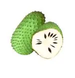 Graviola - Stachelannone 🌱2,5 Exotische Frucht